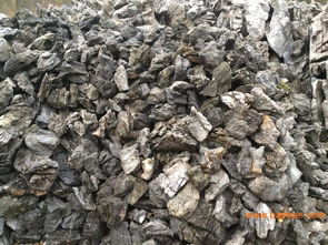 供應(yīng)廣東英石 疊石 英石假山 英德廠家批發(fā)英石,供應(yīng)廣東英石 疊石 英石假山 英德廠家批發(fā)英石生產(chǎn)廠家,供應(yīng)廣東英石 疊石 英石假山 英德廠家批發(fā)英石價(jià)格