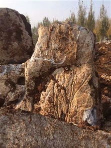 不限,價格,廠家,供應商,沙石 礫石 卵石及制品,臨沂市蘭山區大躍石材銷售處 熱賣促銷