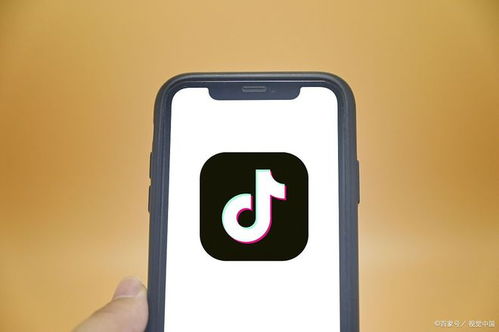 深度抖音小程序定制開發(fā)與SCM軟件系統(tǒng)定制開發(fā) 打造獨一無二的用戶體驗與供應(yīng)鏈管理效能